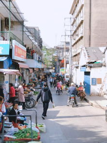 住在建国路，逛个菜场都要胖10斤